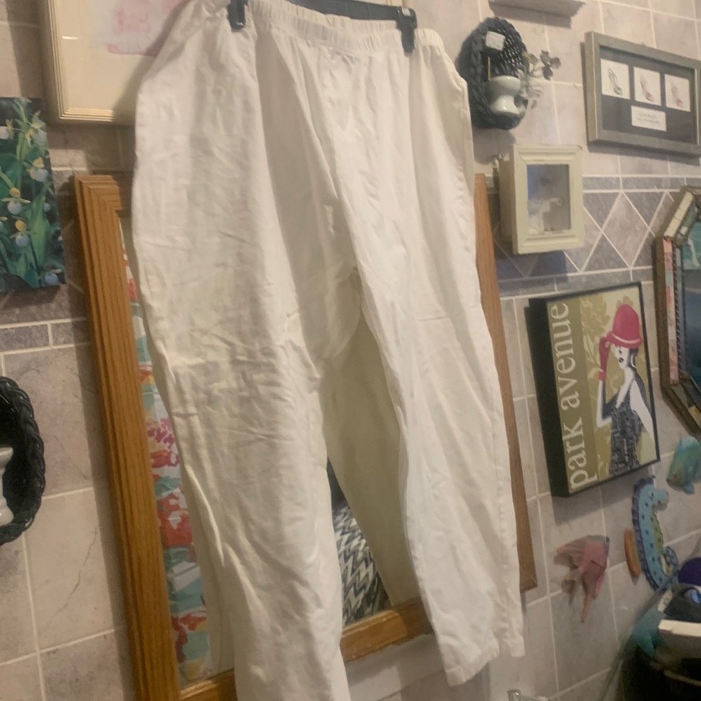 Roamans ankle pants